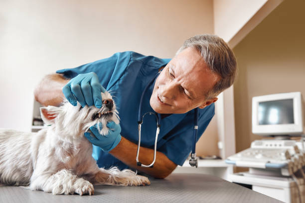 Tooth Infection Emergency Dentist in NM